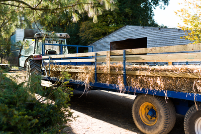 hayride