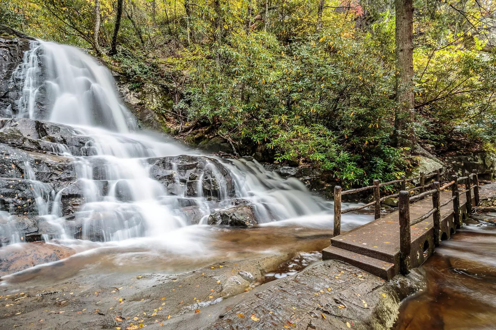 SMOKY MOUNTAIN PLUNGE