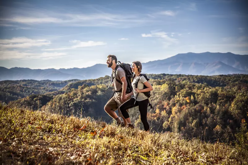 GRAND LECONTE LODGE