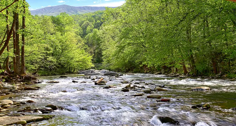 GREAT SMOKY MANSION