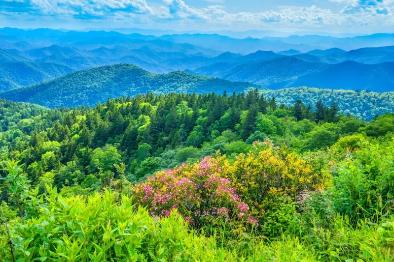 spring in Gatlinburg