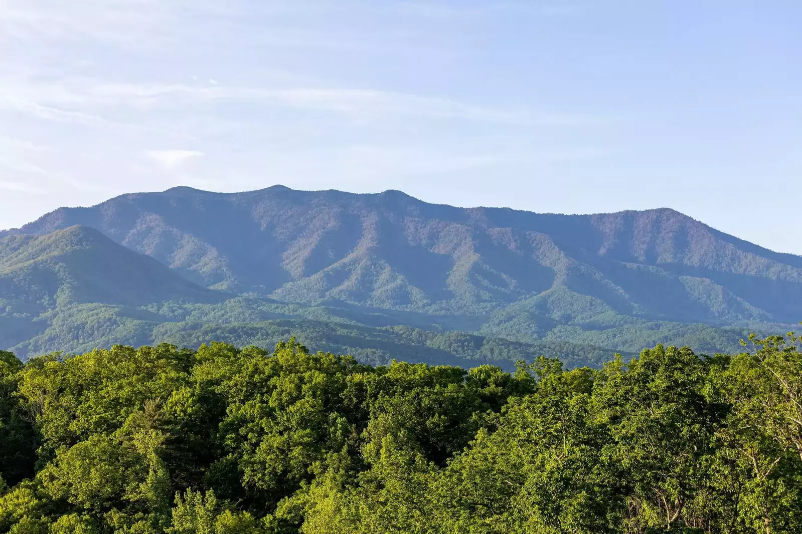 Leconte View Manor